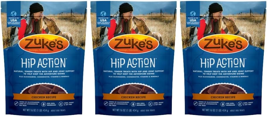 Hip-Action-Natural-Dog-Treats,-1-lb,-Pack-1026