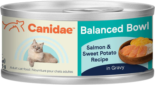 Canidae-Balanced-Bowl-Wet-Cat-Food,-Salmon-&-1317
