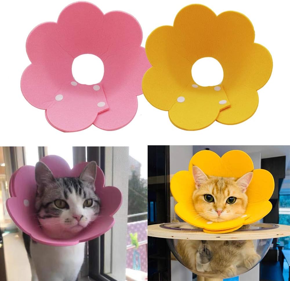 Adjustable-Cat-Recovery-Collar---Cute-Flower-Neck-Cones-After-Surgery,-Set-of-680