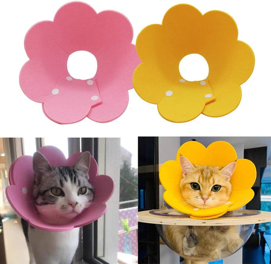 Adjustable-Cat-Recovery-Collar---Cute-Flower-Neck-Cones-After-Surgery,-Set-of-680