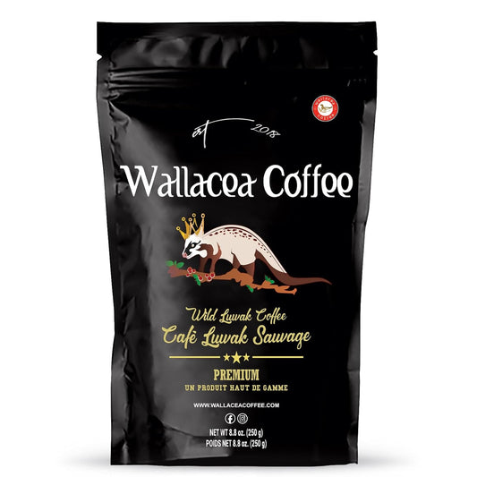 Wallacea-Coffee-Certified-Wild-Kopi-Luwak---Granos-de-café,-café-Kopi1520