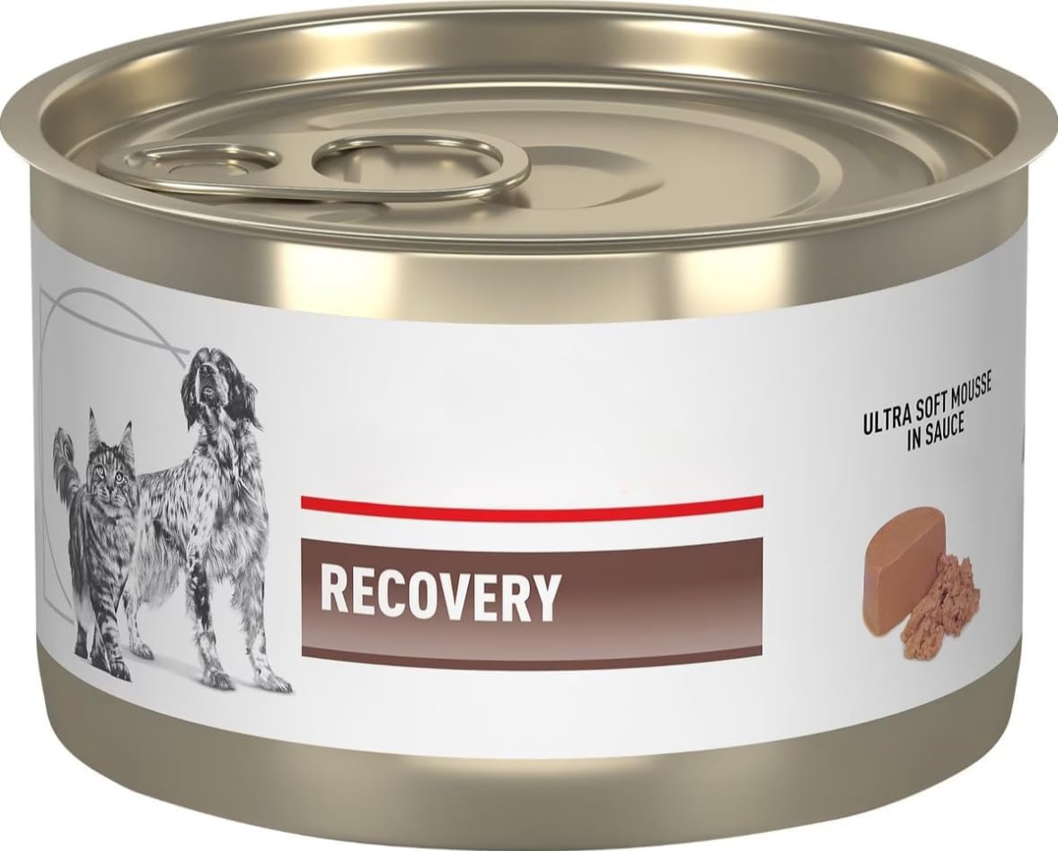 Recovery-Soft-Mousse-Sauce-Comida-húmeda-para-perros-y-457