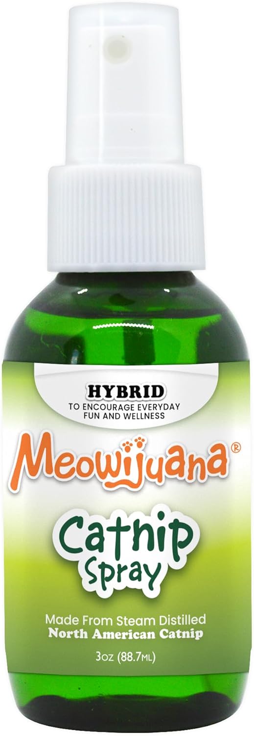 Catnip-Spray---3-Oz-Organic-Catnip-Formula-Simulation,-3