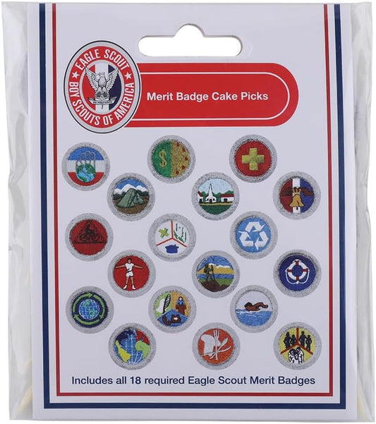 Boy-Scouts-of-America-Eagle-Scout-Merit-820