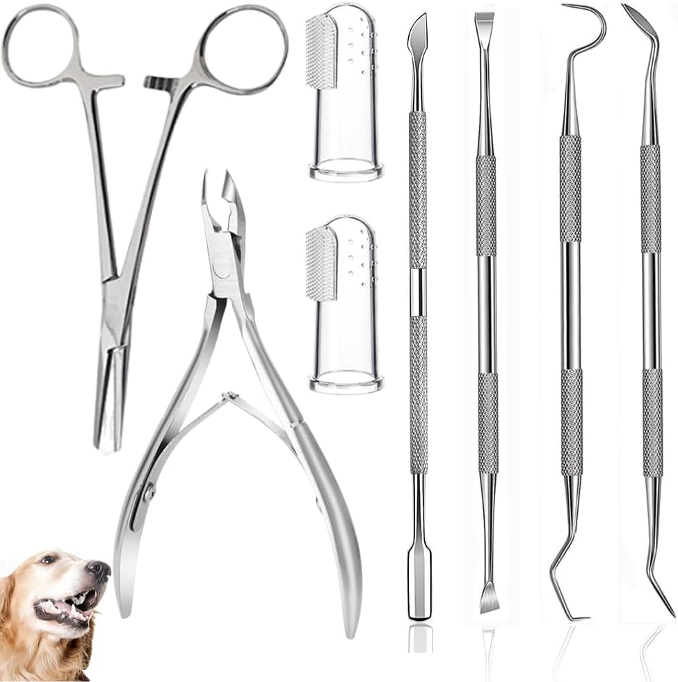 8-Pcs-Dog-Tartar-Remover-Pet-Teeth-Cleaning-Tool,-Cat-Plaque-Off-Calculus-752