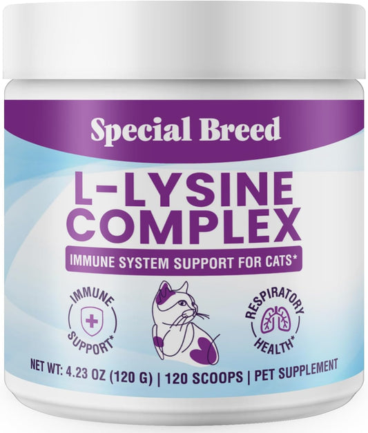 L-Lysine-for-Cats-and-Kittens-–-Immune,-Respiratory-and-Eye-Support-–-Cat-895