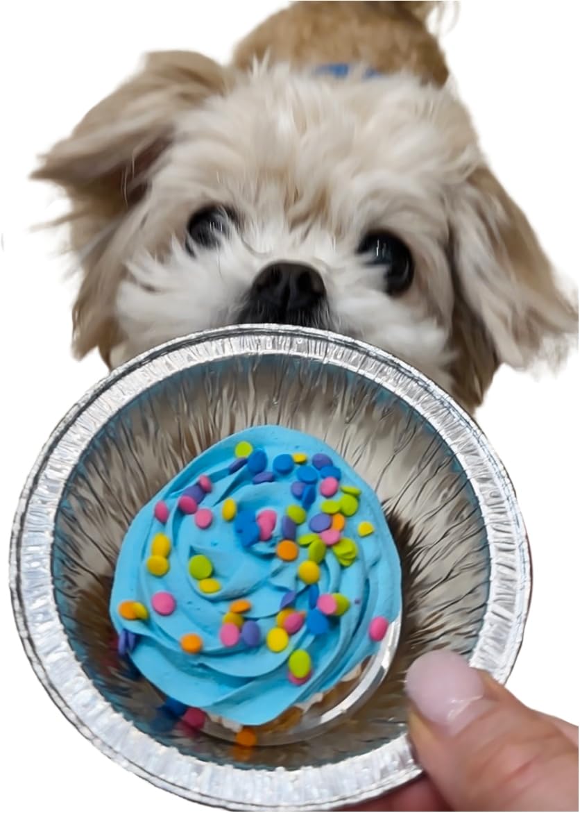 Dog-Birthday-Cake--Blue-Petit-Four-Cake--Bad-88