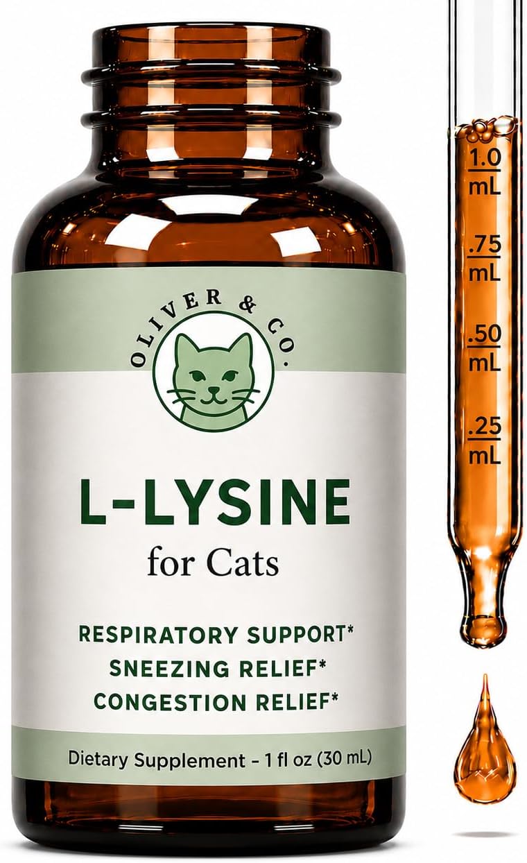 Lysine-for-Cats---L-Lysine-for-Cats---May-Help-with-Respiratory-Health,-532