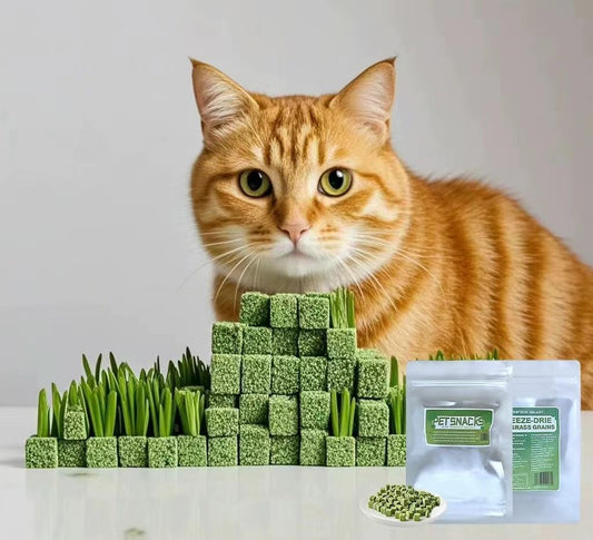 1.76oz-Cat-Grass,Chicken-Freeze-Dried-Cat-Grass-Granules,-0.8-1019