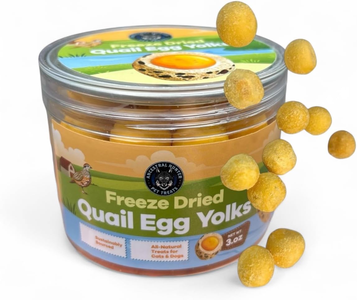 Ancestral-Hunter-Freeze-Dried-Quail-Egg-Yolk-for-Cats-and-Dogs-Single-Healthy--86