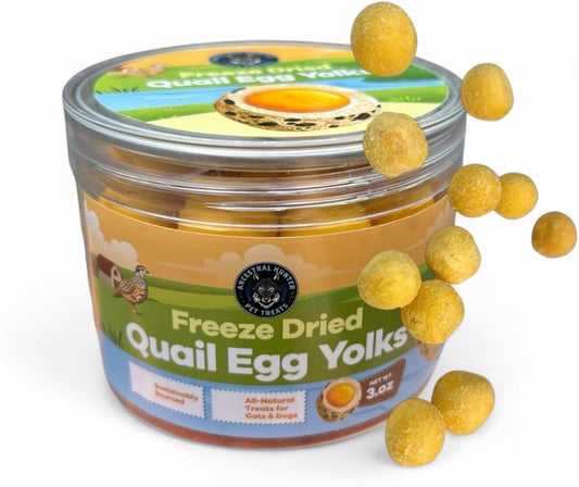 Ancestral-Hunter-Freeze-Dried-Quail-Egg-Yolk-for-Cats-and-Dogs-Single-Healthy--86