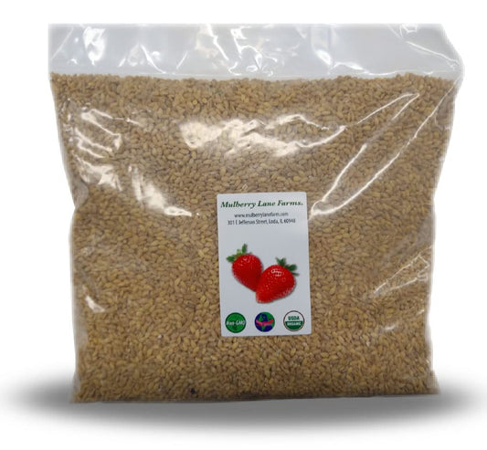 Cebada-descascarada-de-5-libras-(descascarada)-Certificado-por-USDA-Sin-497