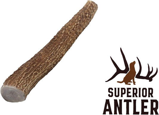 1-Medium-Elk-Antler-–Single-Pack.-All-Natural-Premium-175