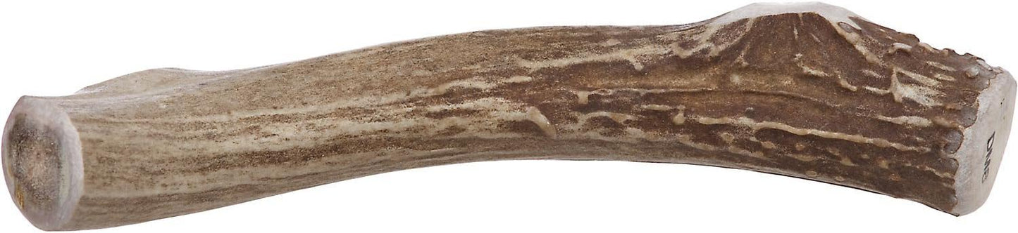 Prairie-Dog-|-Deer-Antler-Chew-|-Naturally-279