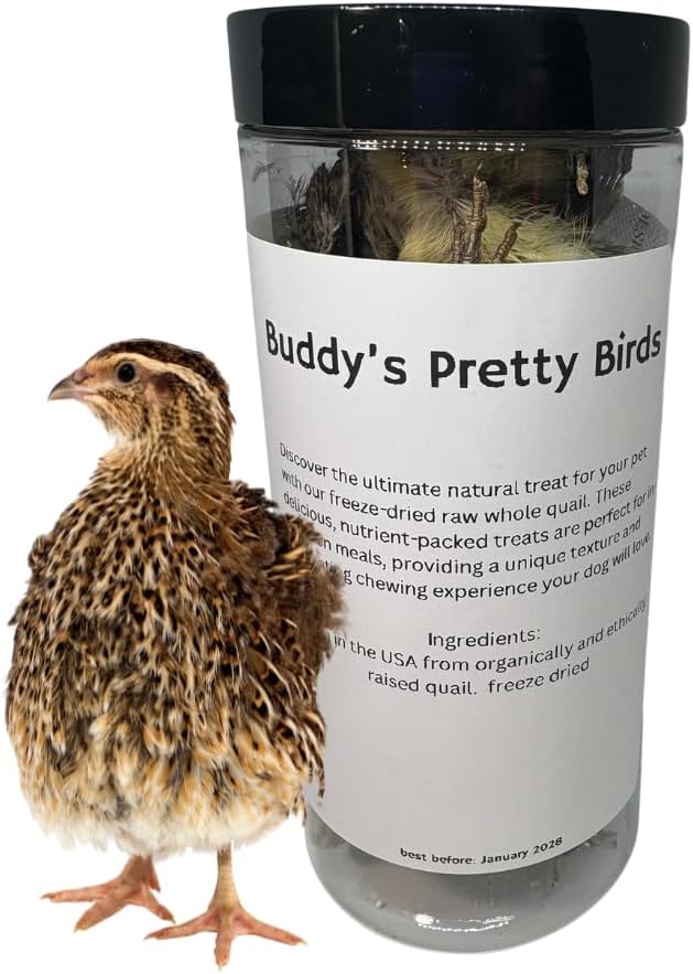 Codorniz-de-entrenamiento-para-perros,-codorniz-entera-liofilizada-de-134