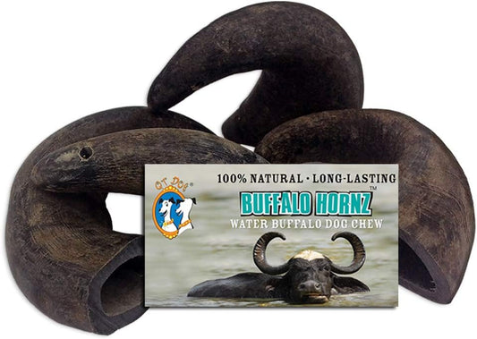QT-Dog-Buffalo-Hornz---Small-(Pack-of-4)-|-Long-Lasting-All-Natural-1294