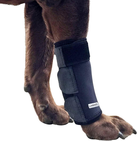 Labra-Dog-Front-Leg-Brace---Compression-Wrap-with-Adjustable-Straps-Dog-97
