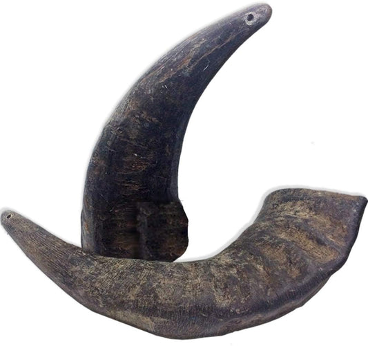 2-Pack-of-Buffalo-Hornz-Medium-Long-Lasting-3327