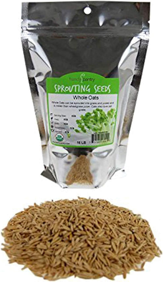 Semillas-orgánicas-de-grano-de-avena-integral-sin-OMG-cáscara-206