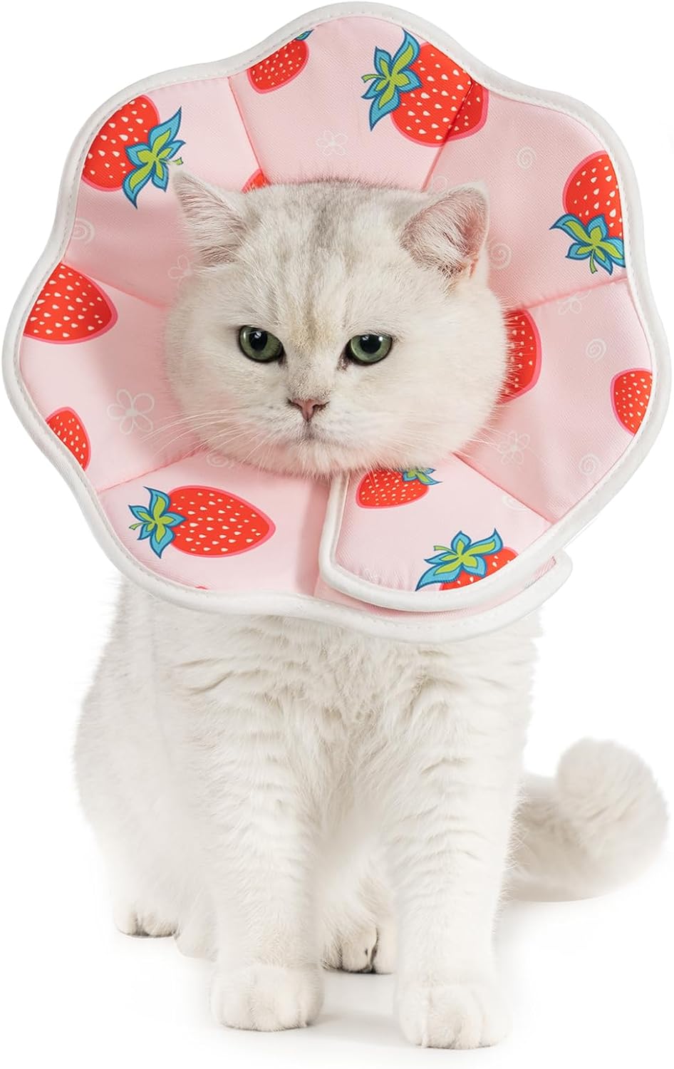 Avont-Cat-Cone-S-Adjustable-Soft-E-Collar,-Strawberry-|-S-fits-6.5-9.0"-Depth-1012