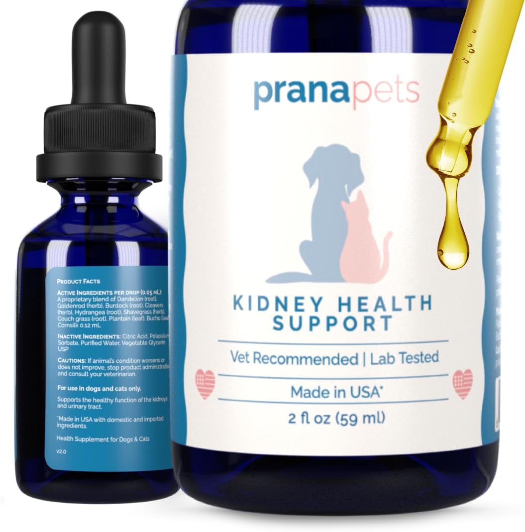 Kidney-Health-Support-Supplement-for-Cats-|-Naturally-Supports-Healthy-Kidney-Function-in-381