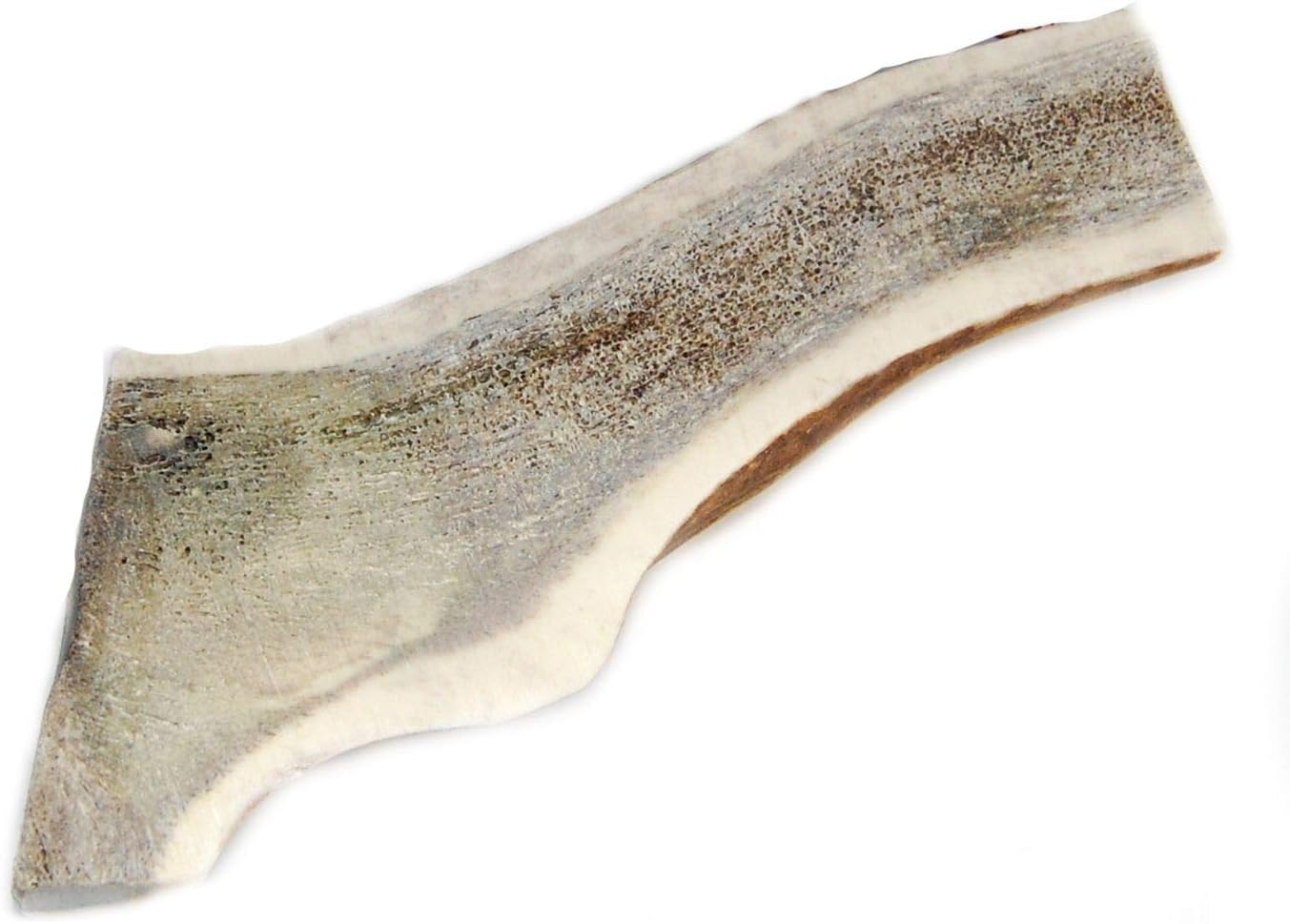 Split-Elk-Antler-Dog-Chew,-X-Large,-Extra-Thick,-6-inches-to-inches-385
