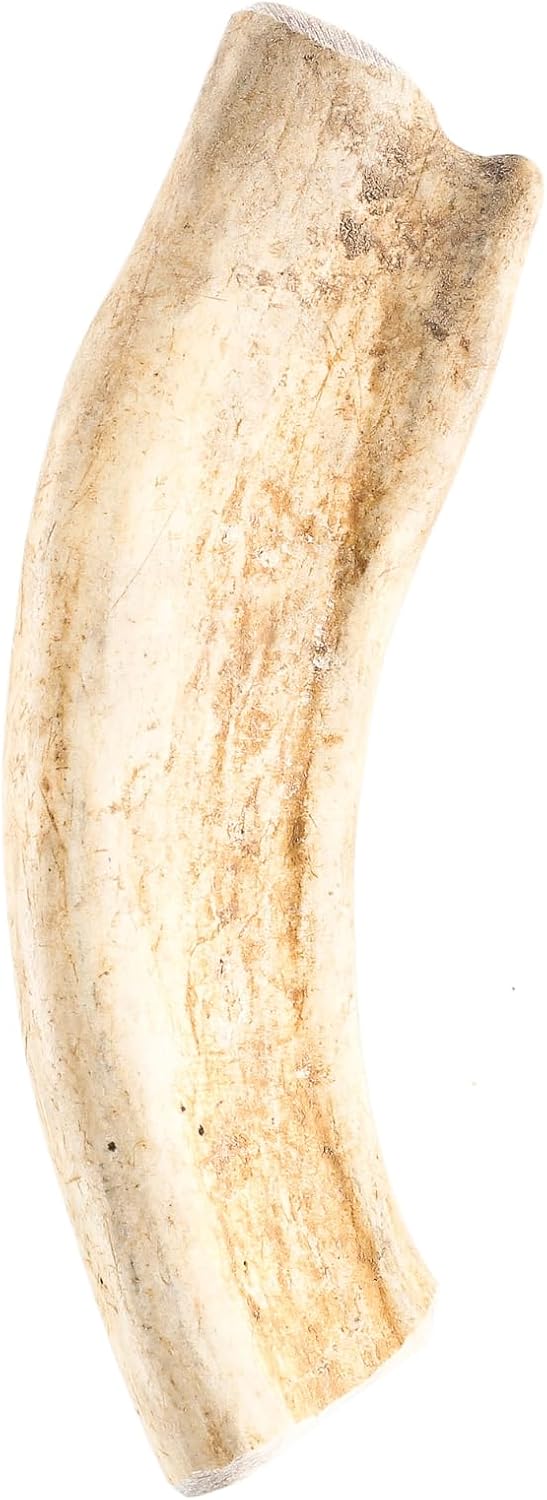 Gnawtlers-Premium-Deer-Antlers-for-Dogs,-Naturally-Shed-Deer-462