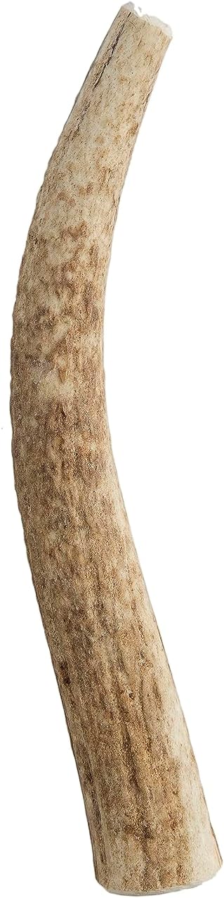 Pet-Parents-Gnawtlers---Premium-Naturally-Shed-Elk-Antlers-for-Dogs,-Natural-16