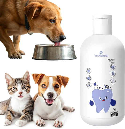 PawBright-Dental-Plus,-Dog-Dental-Plus-Water-Natural,-Odorless-&-Flavorless-to-407