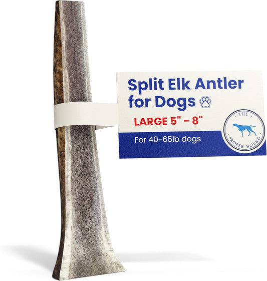 Split-Elk-Antlers-for-Dogs-[Long-Lasting]---314