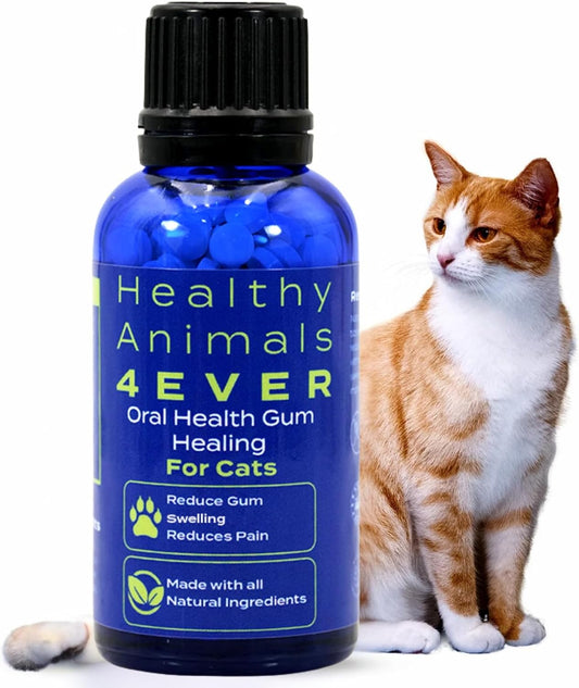 HA4E---Cat-Oral-Health---Relieves-Inflammation,-Soothes-Pain-&-Fights-Gum-1151