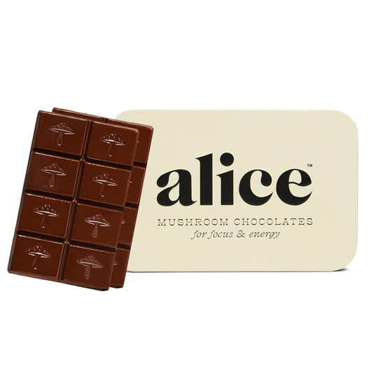 Alice-Mushrooms-Brainstorm-|-Mushroom-Chocolates-|-Energy-1970