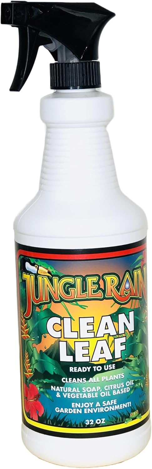 Jungle-Rain-Clean-Leaf-–-Natural,-Non-Toxic-Plant-&-Tree-1444