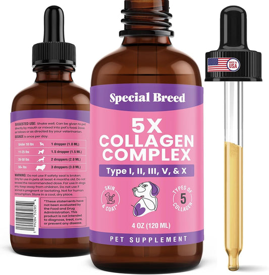 Premium-Collagen-for-Dogs---Liquid-Support-for-Joints,-Skin,-Coat,-Immune-323