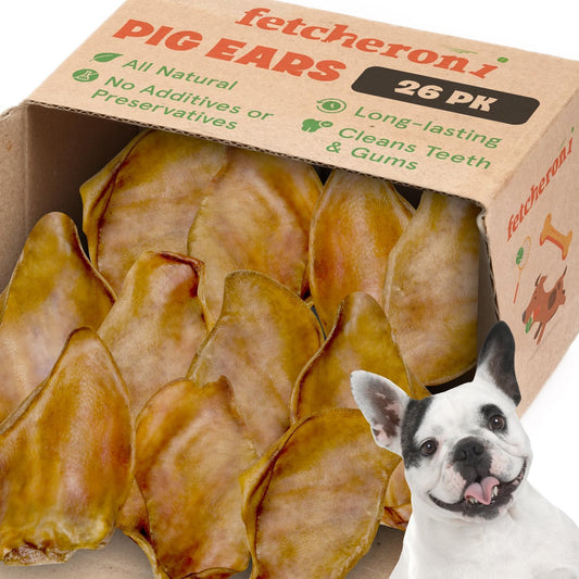 Whole-Pig-Ears-for-French-Bulldogs-Large---305