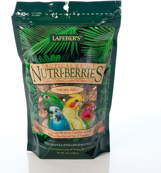 Tropical-Fruit-Nutri-Berries----------------------7