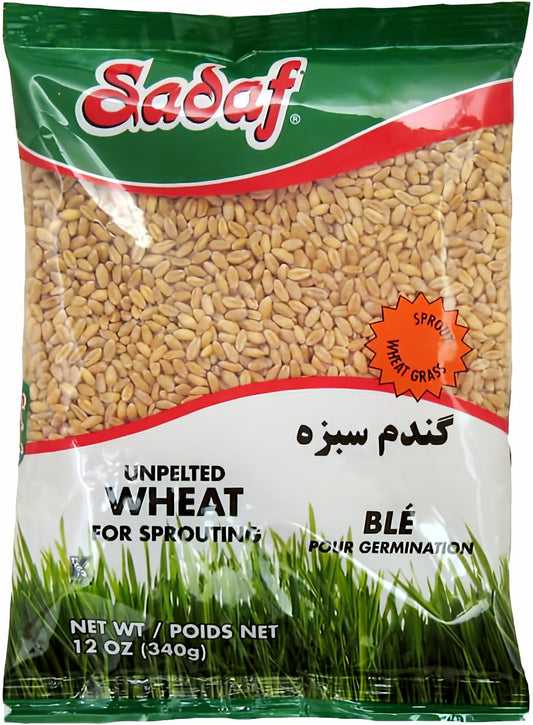 Sadaf-Trigo-sin-pelar,-trigo-germinado-de-trigo,-kosher,-de-844