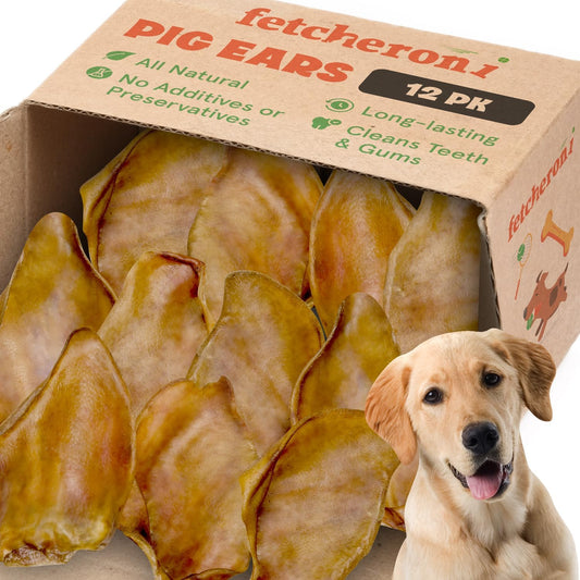 Whole-Pig-Ears-for-Labrador-Retriever-Dogs-Large-783