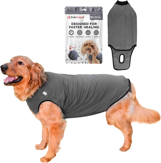 BellyGuard-Dog-Surgery-Recovery-Suit,-Dog-Onesie-for-Post-Op-Care,-Recovery-for-218