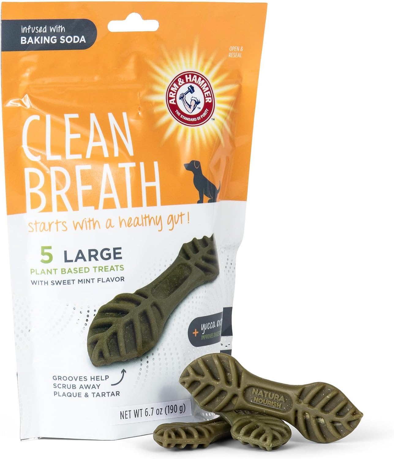 for-Pets-Clean-Breath-from-The-Inside-Dental-1993