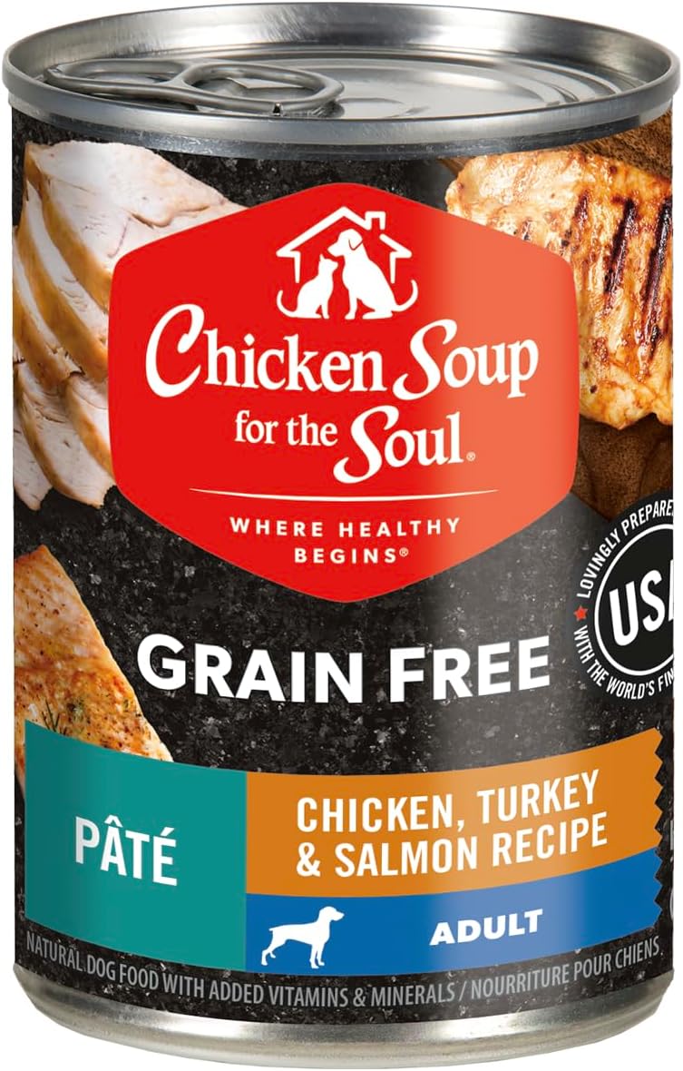 Chicken-Soup-for-the-Soul-All-Natural-Premium---1185