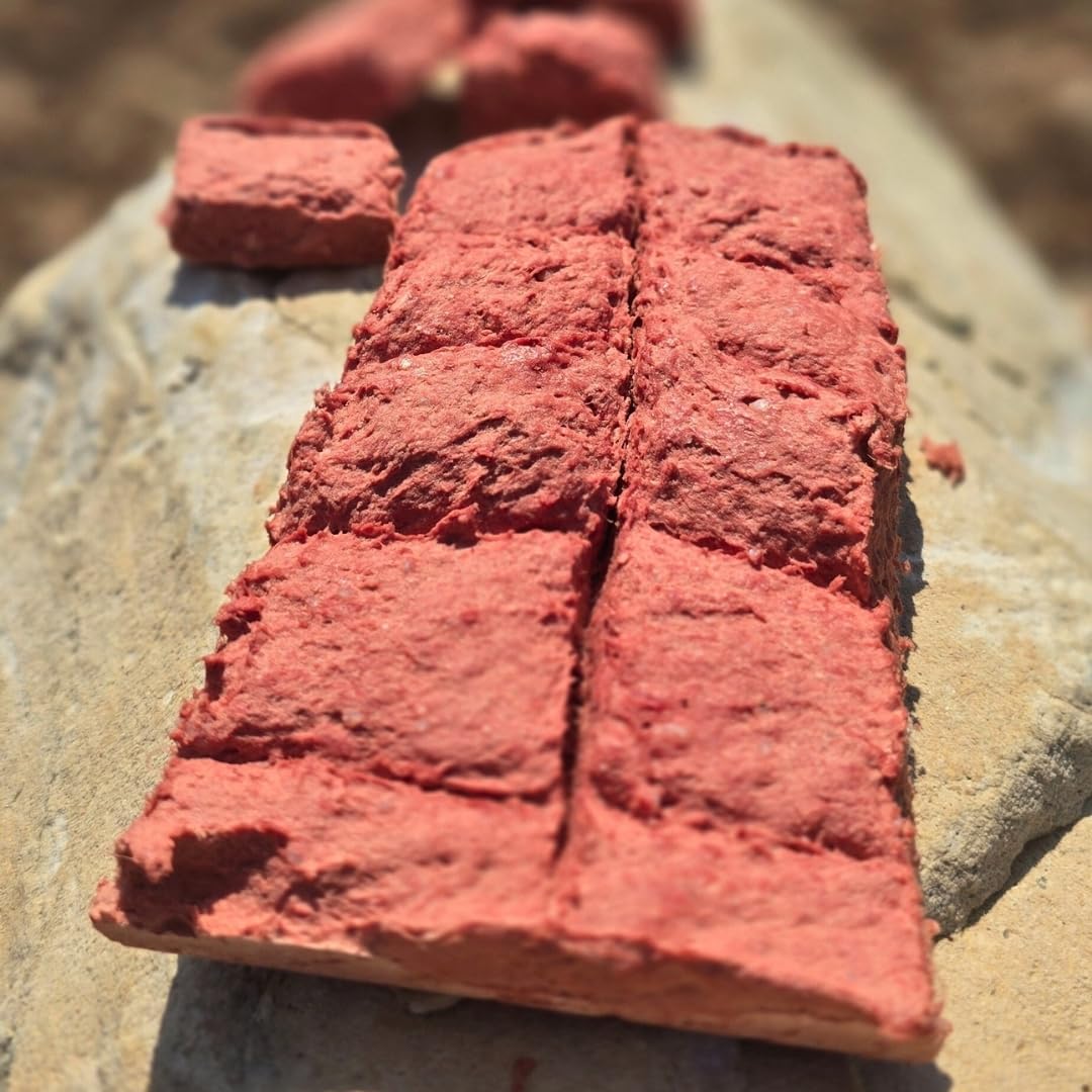 BJ'S-RAW-PET-FOOD-Freeze-Dried-Beef-Heart-Treats-|-High-Protein-Pet-Topper-292