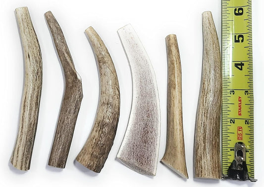 Big-Dog-Antler-Chews-6-Pack-for-Small-Dogs-|-All-Organic-1640
