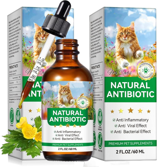 Antibiotics-for-Cats,-Natural-Antibiotics-for-Cats,-Cat-Antibiotics-for-Infection-Supports-Immune-665