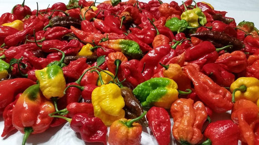 SELPONT-Hot-Peppers-(YNKS)---Mixed-49