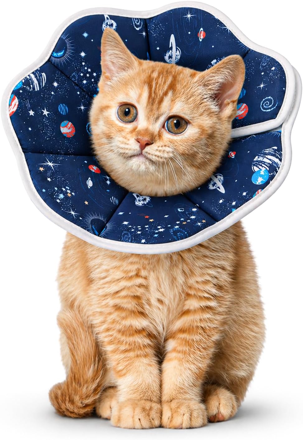 Cat-Cone-Collar-Soft,-Cat-Recovery-Collar-to-Stop-Licking,-Protective-Cat-Neck-1526