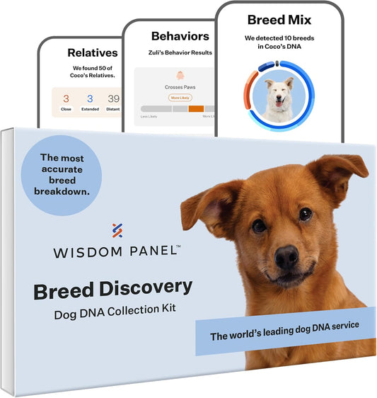 Wisdom-Panel-Breed-Discovery-Dog-DNA-Kit:-Most-Accurate-Dog-Breed-Test-510