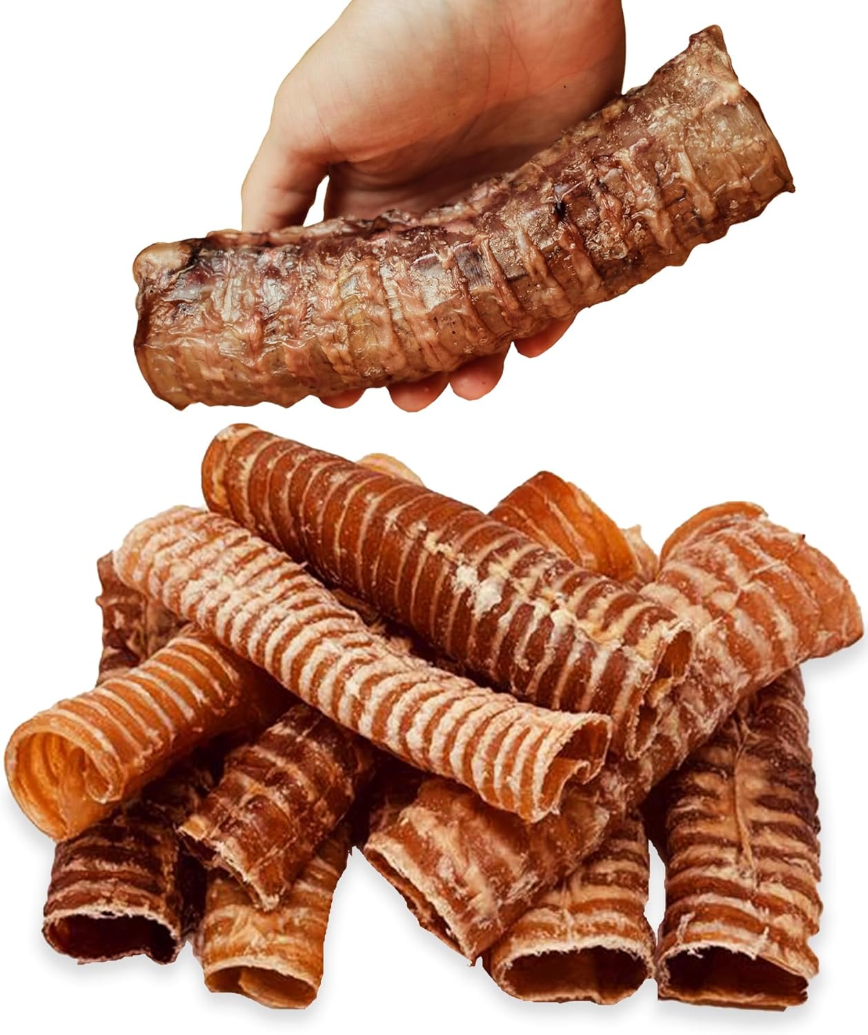 1-Beef-Trachea-for-Dogs-with-Natural-Glucosamine,-Large-Trachea-Dog-for-1504
