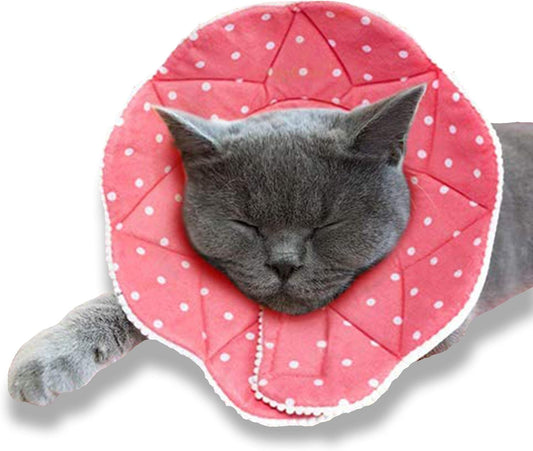 SunGrow-Cat-Cone-Collar-Soft,-Pet-Recovery-Elizabethan-E-Collar-Soft-Neck-Cone-463