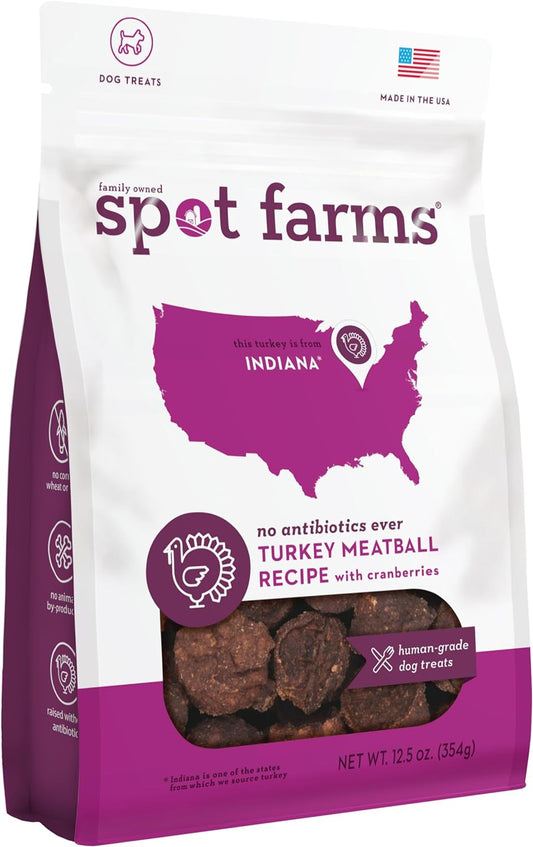Turkey-Meatball-Recipe-Healthy-All-Natural-Dog-Treats-3838